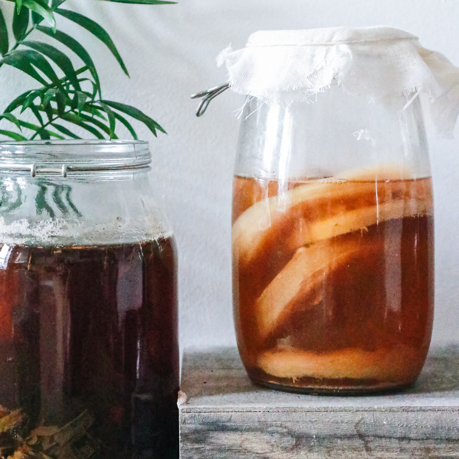 Fermentation