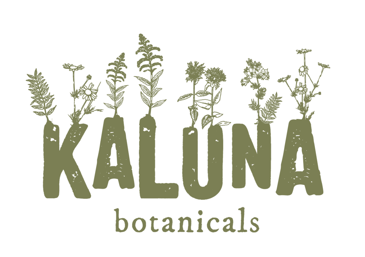 Escamillo (Yellow bullhorn type) Sweet Pepper