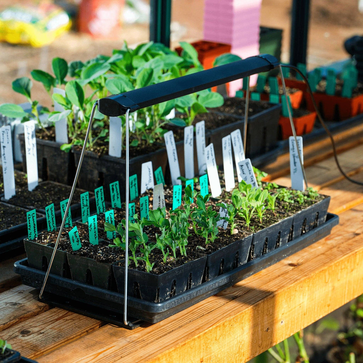 Epic Gardening Products