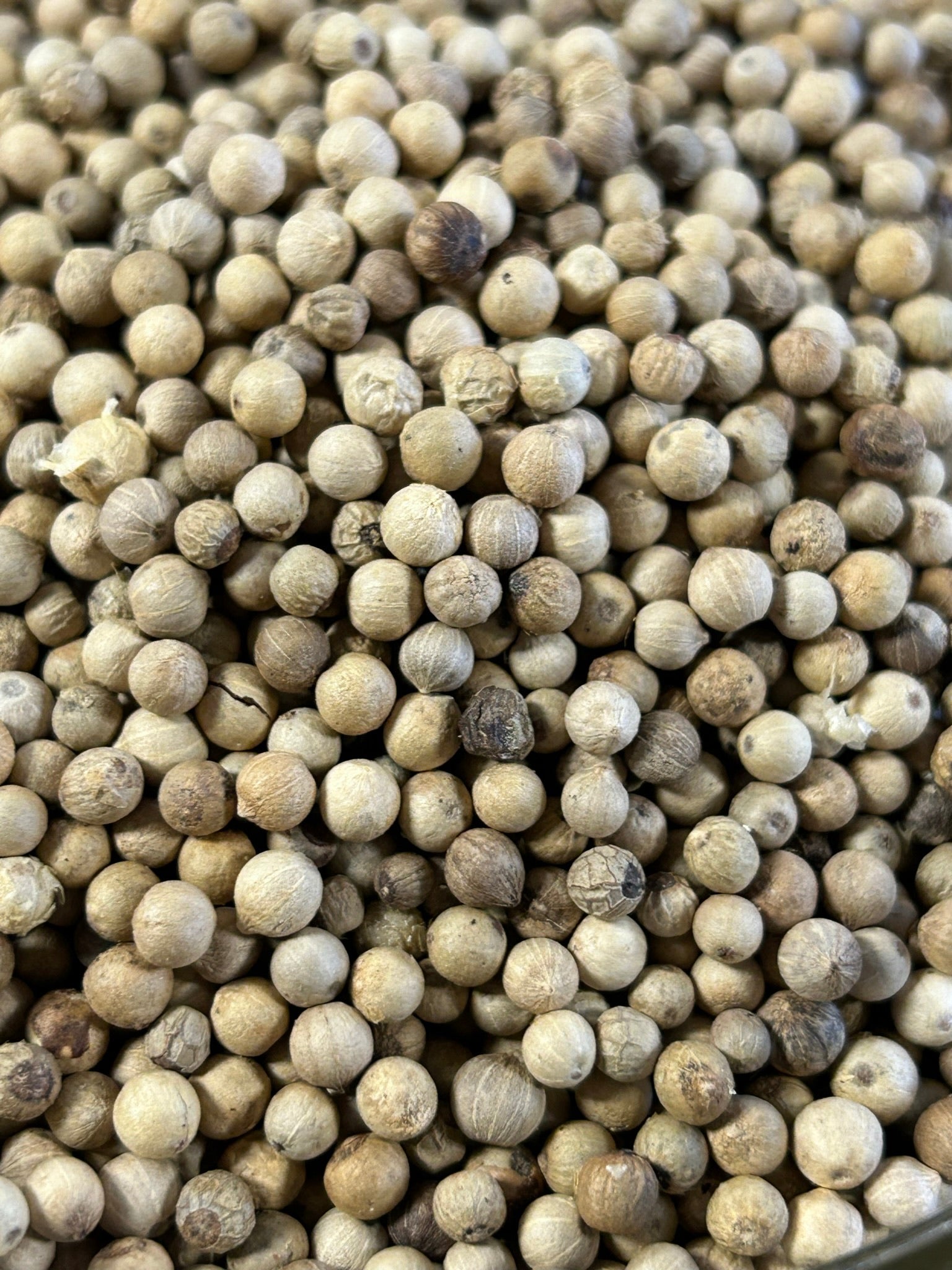 Peppercorns and Grinders