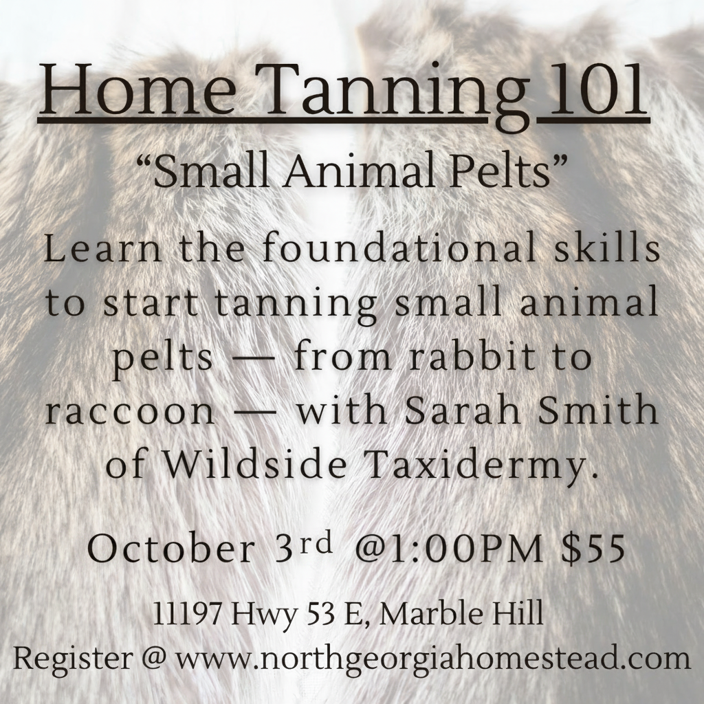 Advertisement for a taxidermy workshop titled 'Home Tanning 101' with text overlay on animal pelts.