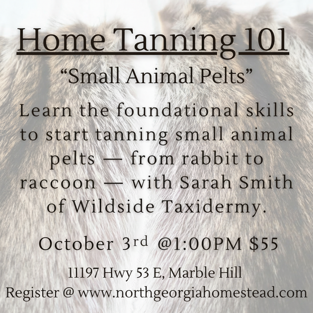 Advertisement for a taxidermy workshop titled 'Home Tanning 101' with text overlay on animal pelts.