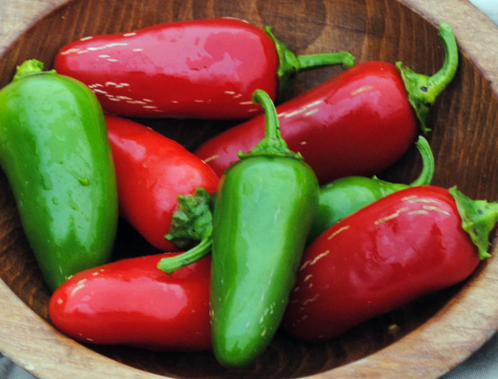 Southern Exposure Jalapeño Pepper - Thumbnail 2