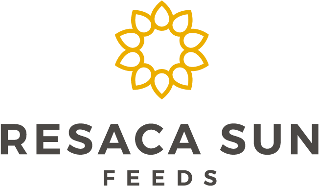Resaca Rgv Resaca Sun Non-GMO Grains, Black Oats (Whole) 50LB Bag