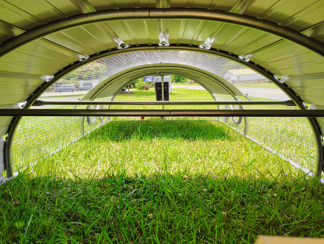 inside view of portable chicken tractor showing roosting bars and structure